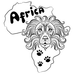 Vector sketch of a lion's face. Lion head, front view. Hand drawn illustration