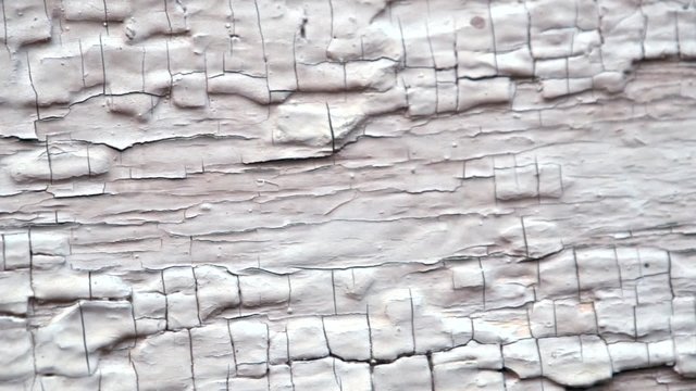 texture vintage background. old peeling paint on wood. 