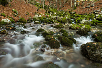 Sorgenti dell'Arzino