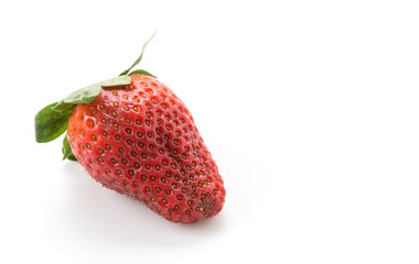 fresh strawberry