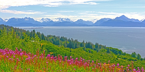 Wildflowers and Mountains by and Ocean Bay