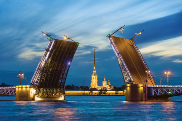 Fototapeta na wymiar Palace Bridge, Peter and Paul Cathedral. St. Petersburg. Russia