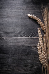 Wheat and rye ears on wooden board copyspace