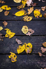 Yellow leaves fall on wood table during autumn season
