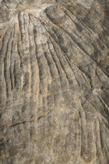 Erosion