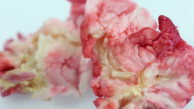 Maggots eat rotting Manila tamarind fruit