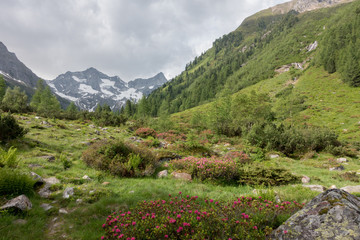 Fototapeta na wymiar Hochtal in den österreichischen Alpen