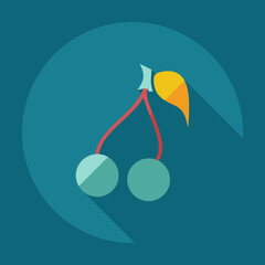 Flat modern design with shadow icons cherry