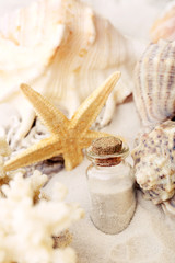 Beautiful seashells on sand background