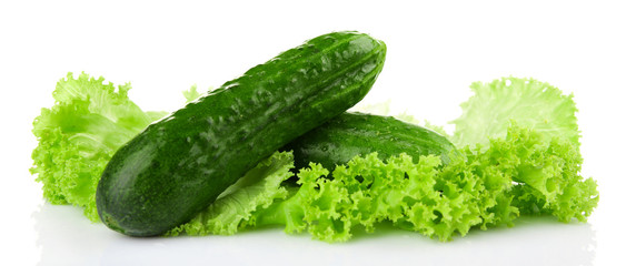 Ripe cucumbers with lettuce isolated on white