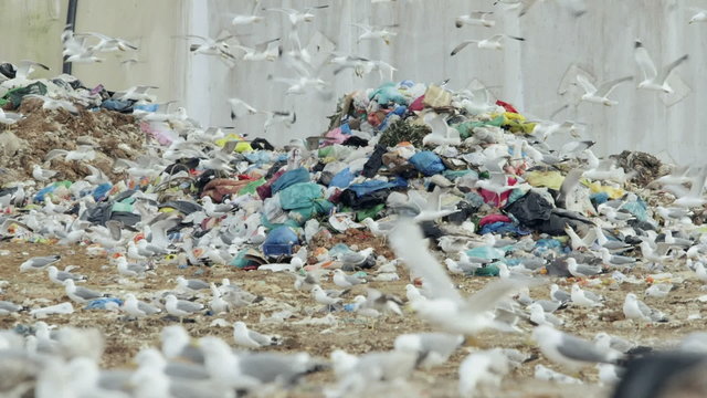 Trash garbage in huge urban landfill,wasteland