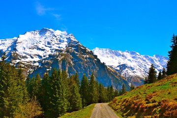 Road Less Taken
