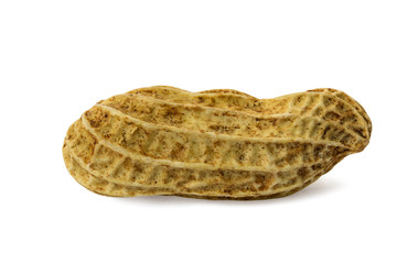 Single peanut isolated on white background and clipping path