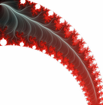 Red fractal leaf on white background