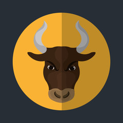 Stock market and exchange 