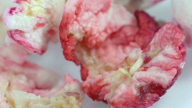 Maggots eat rotting Manila tamarind fruit