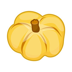 Pumpkin isolated