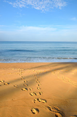 Beautiful beach with blue sky at Mai khao beach, Phuket, Thailand..
