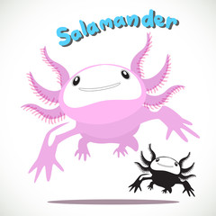 salamander