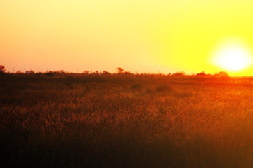 Obraz na płótnie Canvas Beautiful sunrise on a field