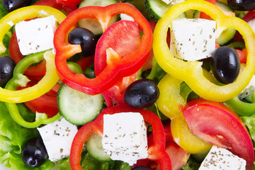 Fresh vegetable salad