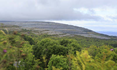 Fototapeta premium Picturesque landscape in Connemara National Park
