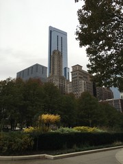 Chicago buildings