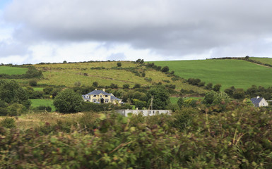Fototapeta na wymiar Rural farmhouses among farmland.