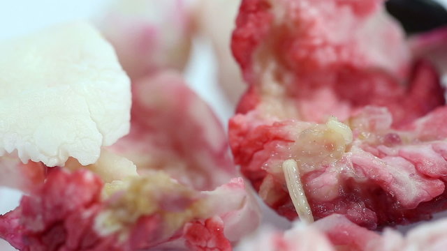 Maggots eat rotting Manila tamarind fruit