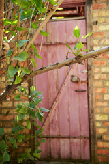 Brown wooden locked door, outdoors