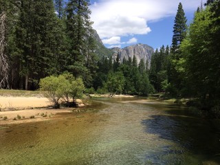 Naklejka na ściany i meble Merced River im Yosemite National Park