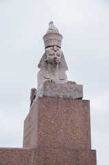 Sculpture Egyptian Sphinx on the embankment of the Neva River in front of the Academy of Fine Arts
