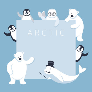 Arctic Animals Characters Show Presentation, Frame, Winter, Nature Travel and Wildlife, Teaching, Guiding 