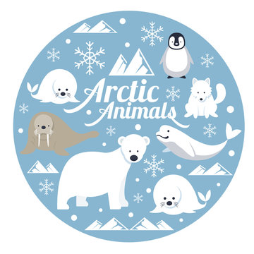 Arctic Animals, Label, Winter, Nature Travel and Wildlife