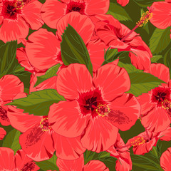 Seamless floral red hibiscus background  in realistic hand-drawn style.