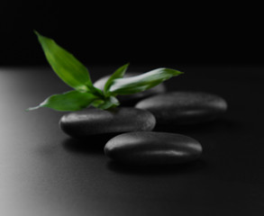 Obraz na płótnie Canvas Pebbles with bamboo leaf on black background