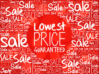 Lowest Price Guaranteed word cloud background, business concept