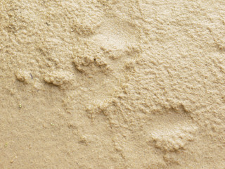 Sand Texture