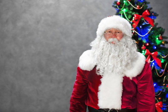 Santa Claus near Christmas tree on gray wall background