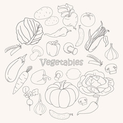 Vector collection of vegetables