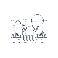 Wildlife. National park. A grey wolf.