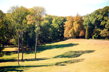 Green meadow in the park