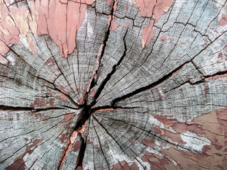 Old wood surface at local wood bridge
