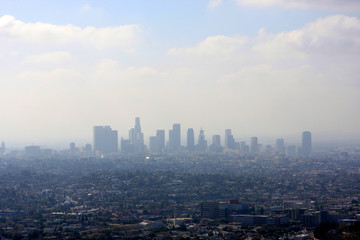 View of Los Angeles from the hill, USA