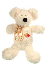 Teddy Bear isolated on white
