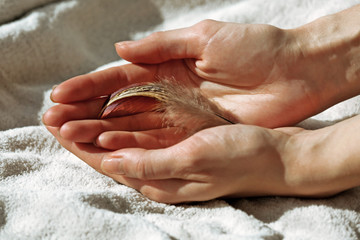 Hands holding a feather on white blanket background, close-up