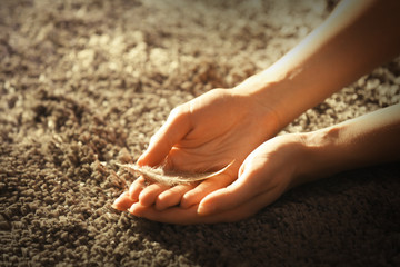 Hands holding a feather on grey carpet background, close-up