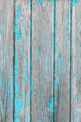 Obraz premium Old painted wood wall - texture or background