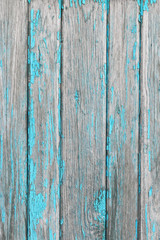 Old painted wood wall - texture or background