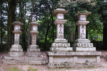 Stone Lanterns at Nara
